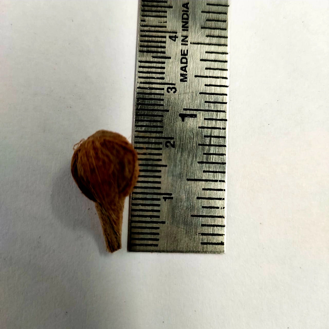 Mini coconut for Rakhi