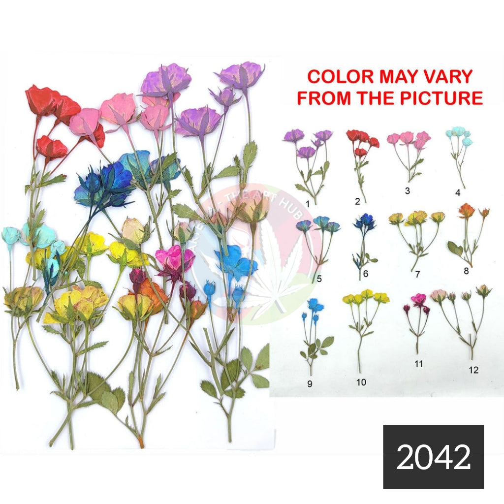 12 in 1 Multi rose pressed flower